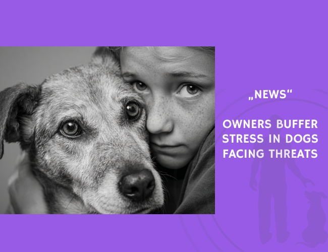 News-Owners Buffer Stress in Dogs Facing Threats