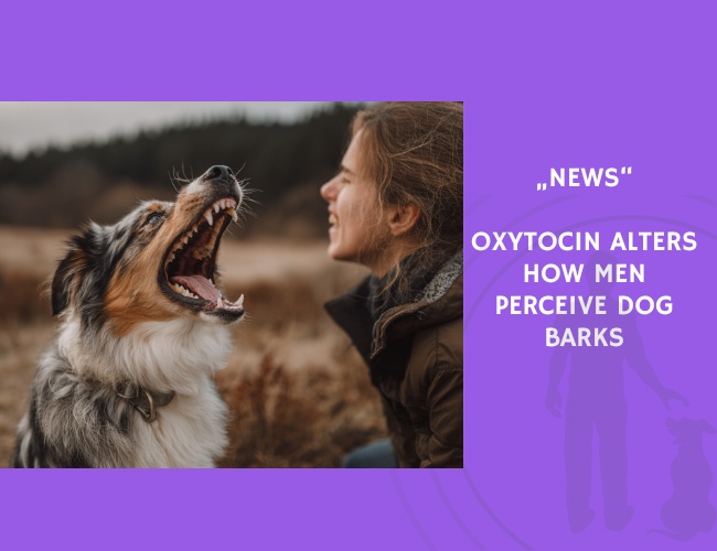 News-Oxytocin Alters How Men Perceive Dog Barks