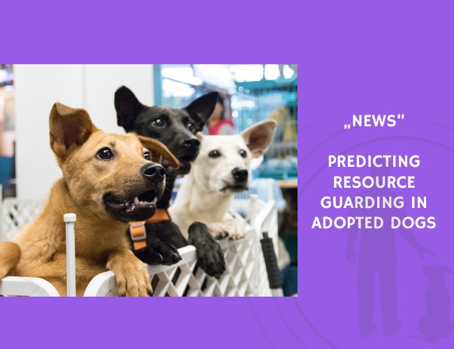 News-Predicting Resource Guarding in Adopted Dogs