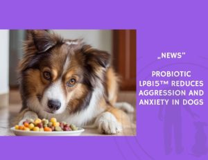 News-Probiotic LP815™ Reduces Aggression and Anxiety in Dogs