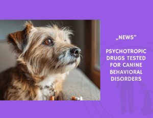 News-Psychotropic Drugs Tested for Canine Behavioral Disorders