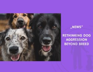 News-Rethinking Dog Aggression Beyond Breed