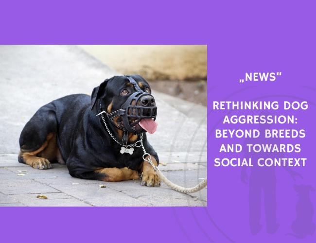 News-Rethinking Dog Aggression Beyond Breeds and Towards Social Context