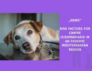 News-Risk Factors for Canine Leishmaniasis in an Endemic Mediterranean Region