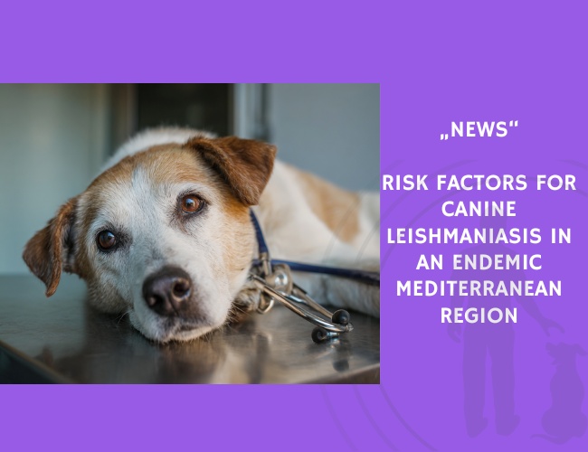 News-Risk Factors for Canine Leishmaniasis in an Endemic Mediterranean Region