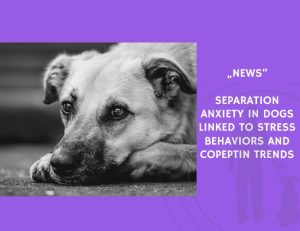 News-Separation Anxiety in Dogs Linked to Stress Behaviors and Copeptin Trends