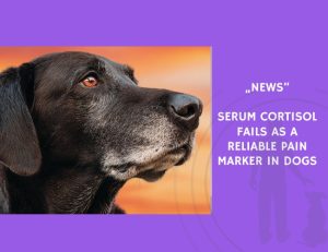 News-Serum Cortisol Fails as a Reliable Pain Marker in Dogs