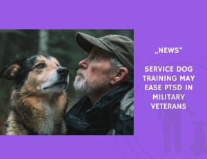 News-Service Dog Training May Ease PTSD in Military Veterans