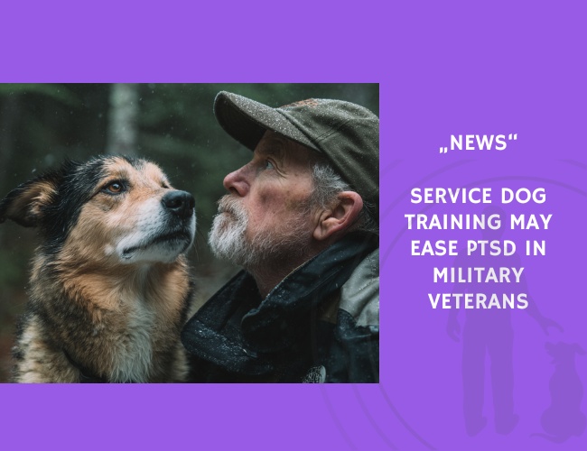 News-Service Dog Training May Ease PTSD in Military Veterans