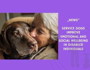 News-Service Dogs Improve Emotional and Social Wellbeing in Disabled Individuals