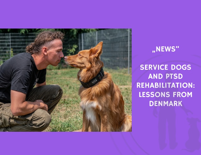 News-Service Dogs and PTSD Rehabilitation Lessons from Denmark