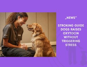 News-Stroking Guide Dogs Raises Oxytocin Without Triggering Stress