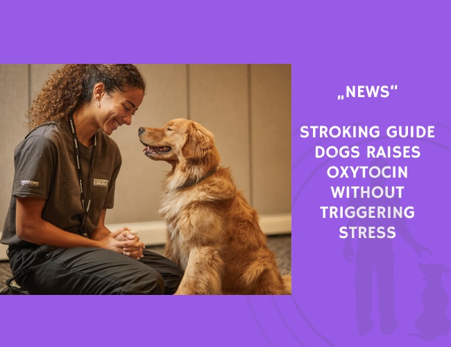 News-Stroking Guide Dogs Raises Oxytocin Without Triggering Stress