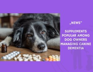 News-Supplements Popular Among Dog Owners Managing Canine Dementia