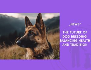 News-The Future of Dog Breeding Balancing Health and Tradition