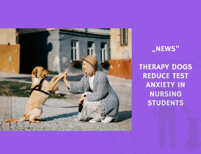 News-Therapy Dogs Reduce Test Anxiety in Nursing Students