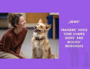 News-Trainers’ Voice Tone Shapes Dogs’ and Wolves’ Responses