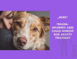 News-Trauma-Informed Care Could Improve Dog Anxiety Treatment