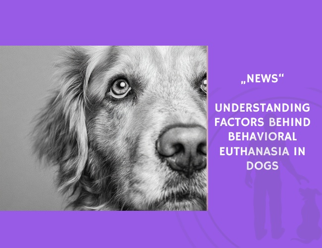News-Understanding Factors Behind Behavioral Euthanasia in Dogs