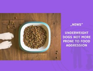 News-Underweight Dogs Not More Prone to Food Aggression