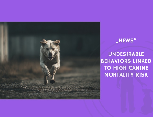 News-Undesirable Behaviors Linked to High Canine Mortality Risk
