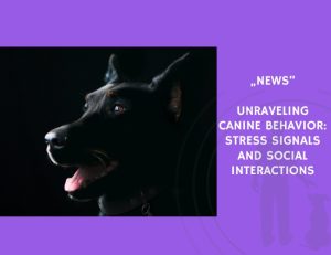 News-Unraveling Canine Behavior Stress Signals and Social Interactions