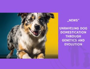 News-Unraveling Dog Domestication Through Genetics and Evolution