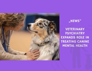 News-Veterinary Psychiatry Expands Role in Treating Canine Mental Health
