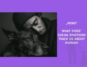 News-What Dogs’ Social Emotions Teach Us About Humans
