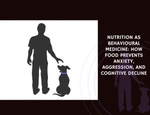 Nutrition as Behavioural Medicine How Food Prevents Anxiety, Aggression, and Cognitive Decline