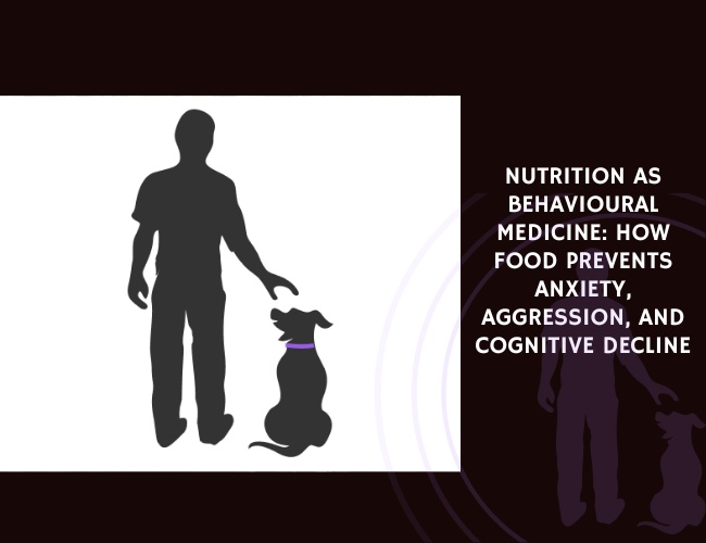 Nutrition as Behavioural Medicine How Food Prevents Anxiety, Aggression, and Cognitive Decline