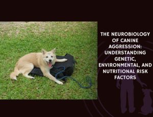The Neurobiology of Canine Aggression: Understanding Genetic, Environmental, and Nutritional Risk Factors