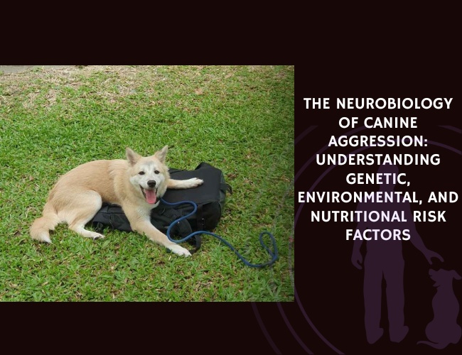 The Neurobiology of Canine Aggression: Understanding Genetic, Environmental, and Nutritional Risk Factors