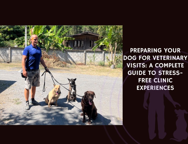 Preparing Your Dog for Veterinary Visits A Complete Guide to Stress-Free Clinic Experiences
