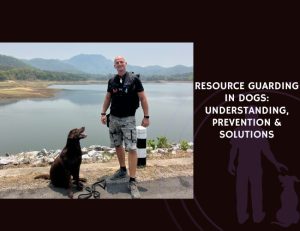 Resource Guarding in Dogs - Understanding, Prevention & Solutions