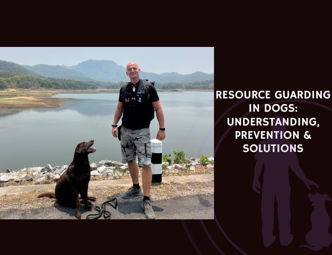 Resource Guarding in Dogs - Understanding, Prevention & Solutions