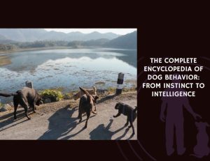 The Complete Encyclopedia of Dog Behavior From Instinct to Intelligence