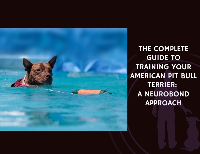 The Complete Guide to Training Your American Pit Bull Terrier A NeuroBond Approach