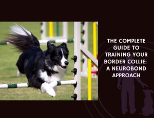 The Complete Guide to Training Your Border Collie A NeuroBond Approach