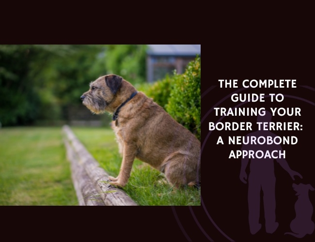 The Complete Guide to Training Your Border Terrier A NeuroBond Approach