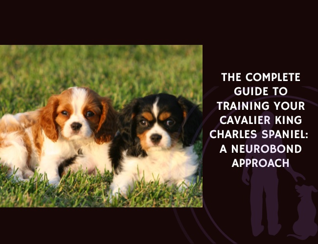 The Complete Guide to Training Your Cavalier King Charles Spaniel A NeuroBond Approach