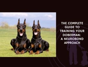 The Complete Guide to Training Your Doberman A NeuroBond Approach