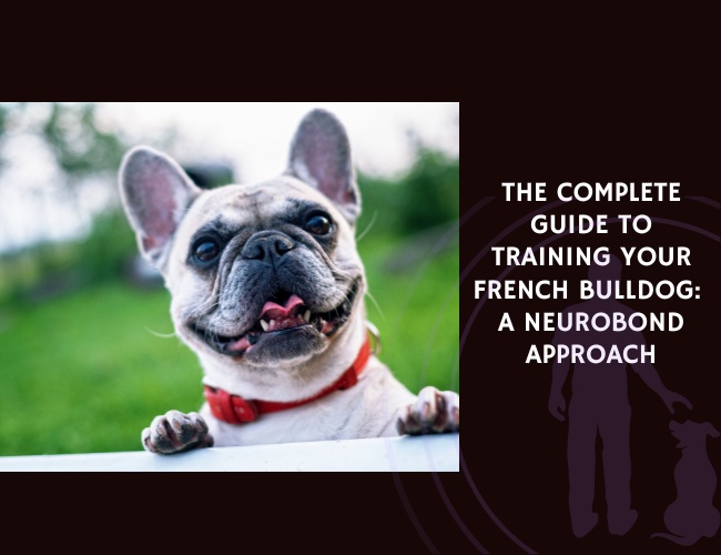 The Complete Guide to Training Your French Bulldog A NeuroBond Approach