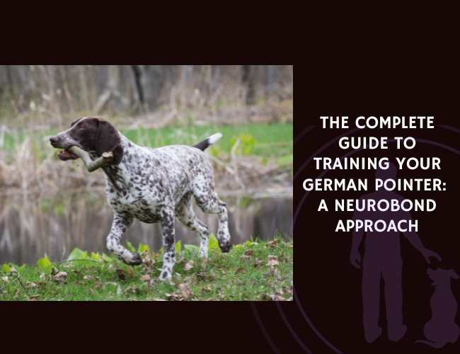The Complete Guide to Training Your German Pointer A NeuroBond Approach