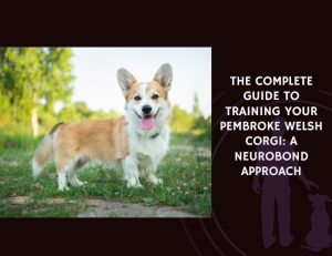 The Complete Guide to Training Your Pembroke Welsh Corgi A NeuroBond Approach