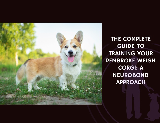 The Complete Guide to Training Your Pembroke Welsh Corgi A NeuroBond Approach