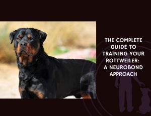 The Complete Guide to Training Your Rottweiler A NeuroBond Approach