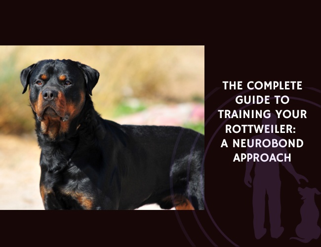 The Complete Guide to Training Your Rottweiler A NeuroBond Approach