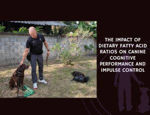 The Impact of Dietary Fatty Acid Ratios on Canine Cognitive Performance and Impulse Control