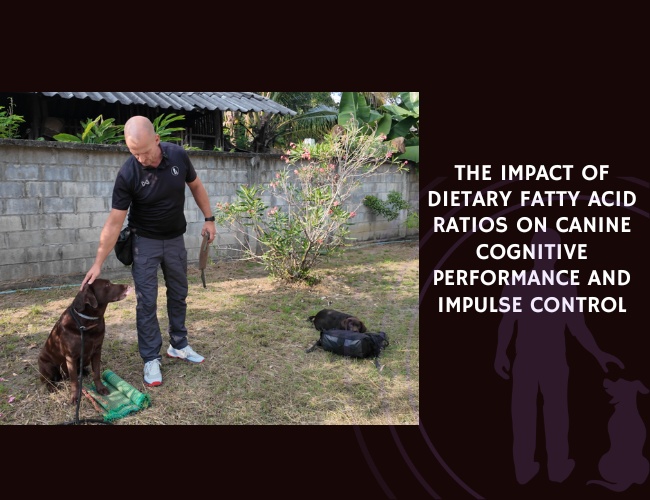 The Impact of Dietary Fatty Acid Ratios on Canine Cognitive Performance and Impulse Control